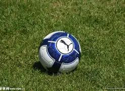 开云体育,官网下载地,资讯,开云体育,开云体育官网,开云体育app,开云体育平台,KAIYUN,SPORTS,kaiyun登录入口