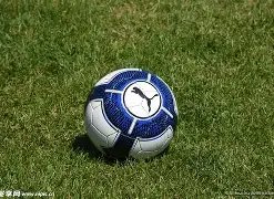 五华县民政,局发布,年彩票公益,开云体育,开云体育官网,开云体育app,开云体育平台,KAIYUN,SPORTS,kaiyun登录入口