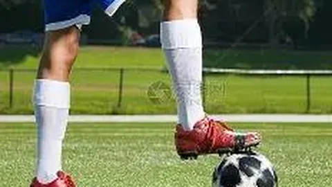 开云体育app官网下载地址 资讯 111925 0vx