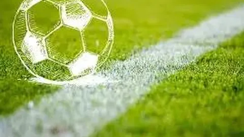 开云体育app官网下载地址 资讯 111924 hin