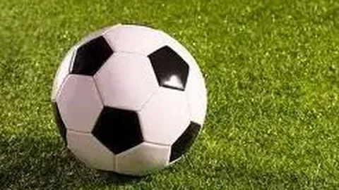 开云体育app官网下载地址 资讯 133317 rgw