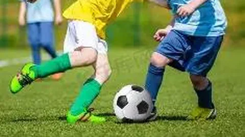 开云体育app官网下载地址 产品 114642 efl