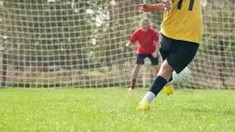 开云体育app官网下载地址 资讯 111145 0yc