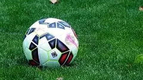 开云体育app官网下载地址 产品 132522 mfx