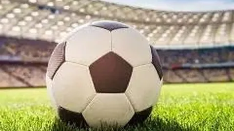 开云体育app官网下载地址 产品 133624 35t