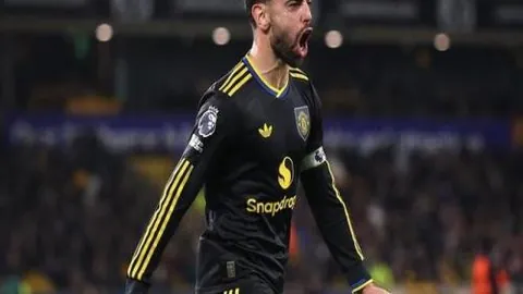 开云体育app官网下载地址 产品 105017 bzd