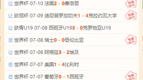 开云体育官网下载地址 145335 4